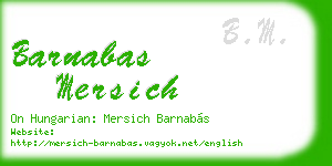 barnabas mersich business card
